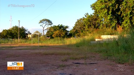 Moradores da região norte de Palmas estão incomodados com mato alto em quadra