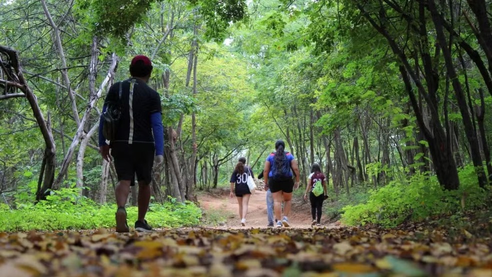 A Trilha do Santo Sepulcro está localizada no geossítio Colina do Horto, em Juazeiro do Norte — Foto: Diego Monteiro/Geopark Araripe/Divulgação