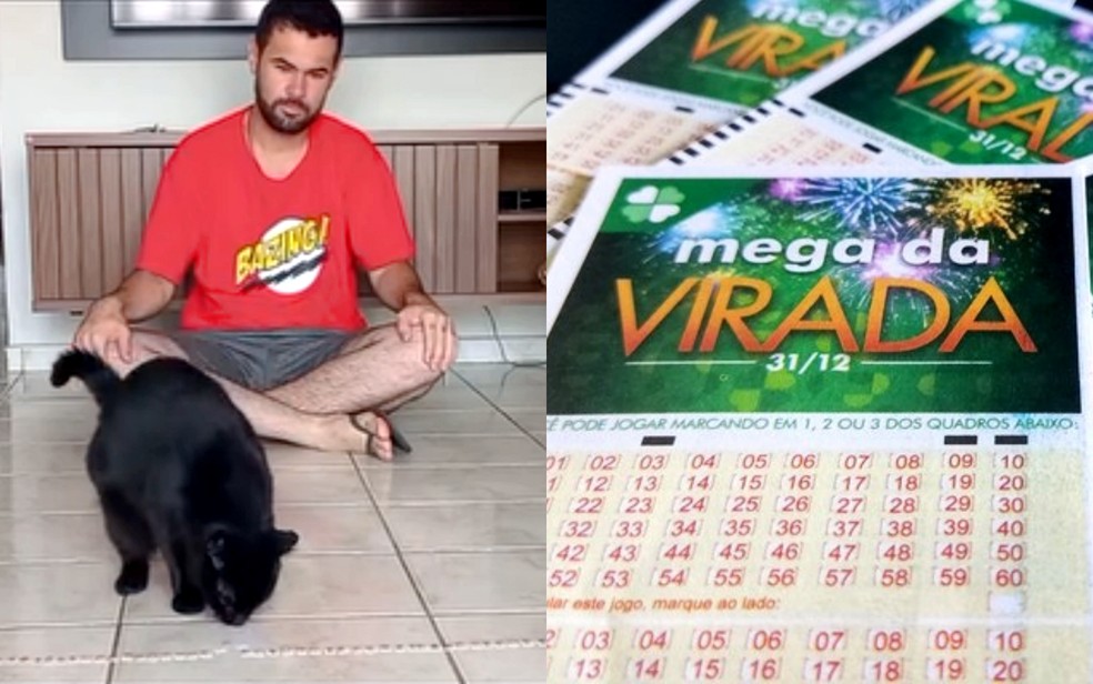 Milu, o ‘gato vidente’, fez a previsão dos números a serem sorteados na Mega da Virada 2024 — Foto: Reprodução / Redes sociais