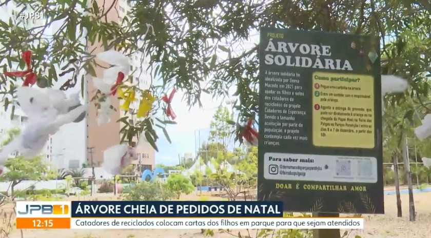 Pedidos de Natal são colocados em árvore solidária em parque de João Pessoa; saiba como adotar