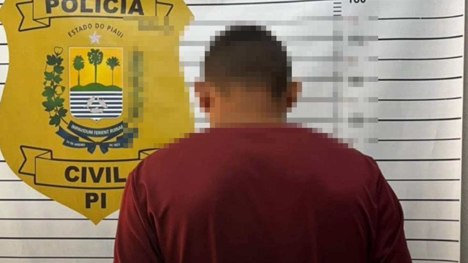 Delegada relata choque ao prender jovem que confessou estupro da sobrinha de 10 anos no PI: 'não consigo entender'