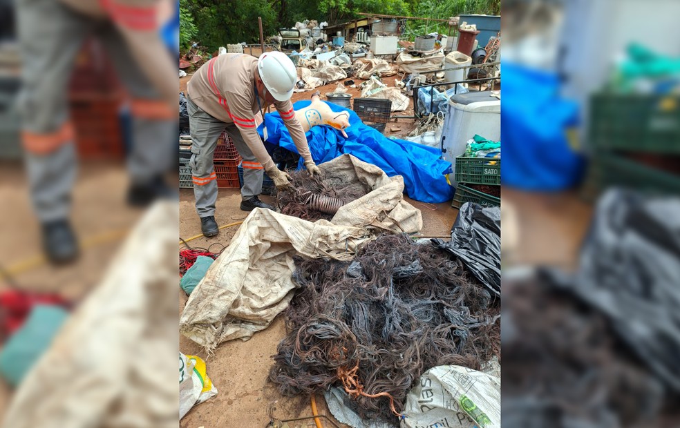 2 de 3
Tr&ecirc;s pessoas s&atilde;o presas em flagrante durante opera&ccedil;&atilde;o contra furto de fios em Bauru &mdash; Foto: Reprodu&ccedil;&atilde;o