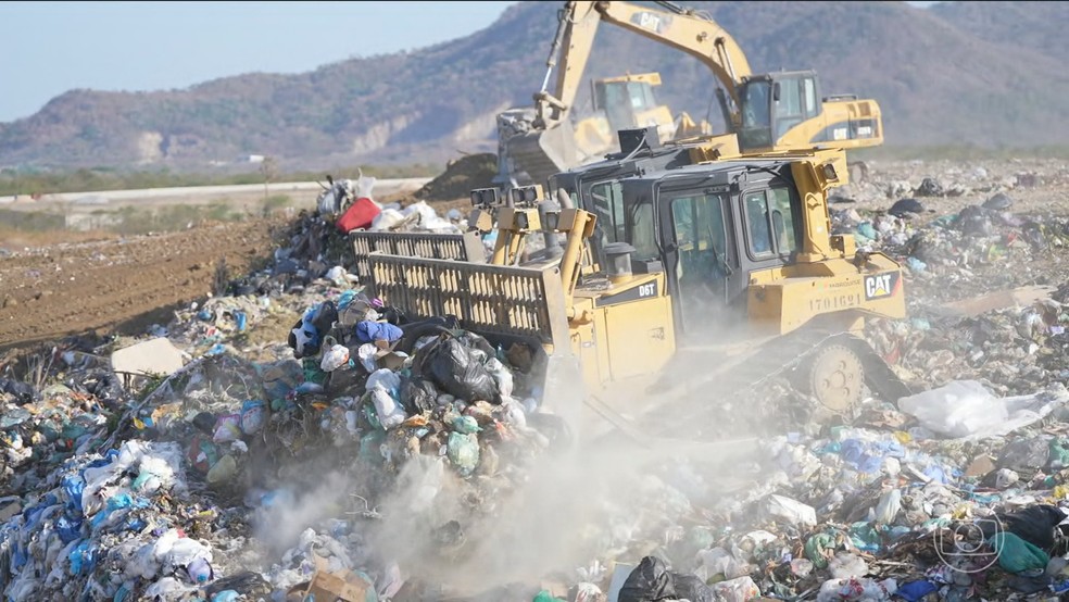 Série do JN mostra como o lixo orgânico pode virar renda e melhorar o meio ambiente — Foto: Jornal Nacional/ Reprodução