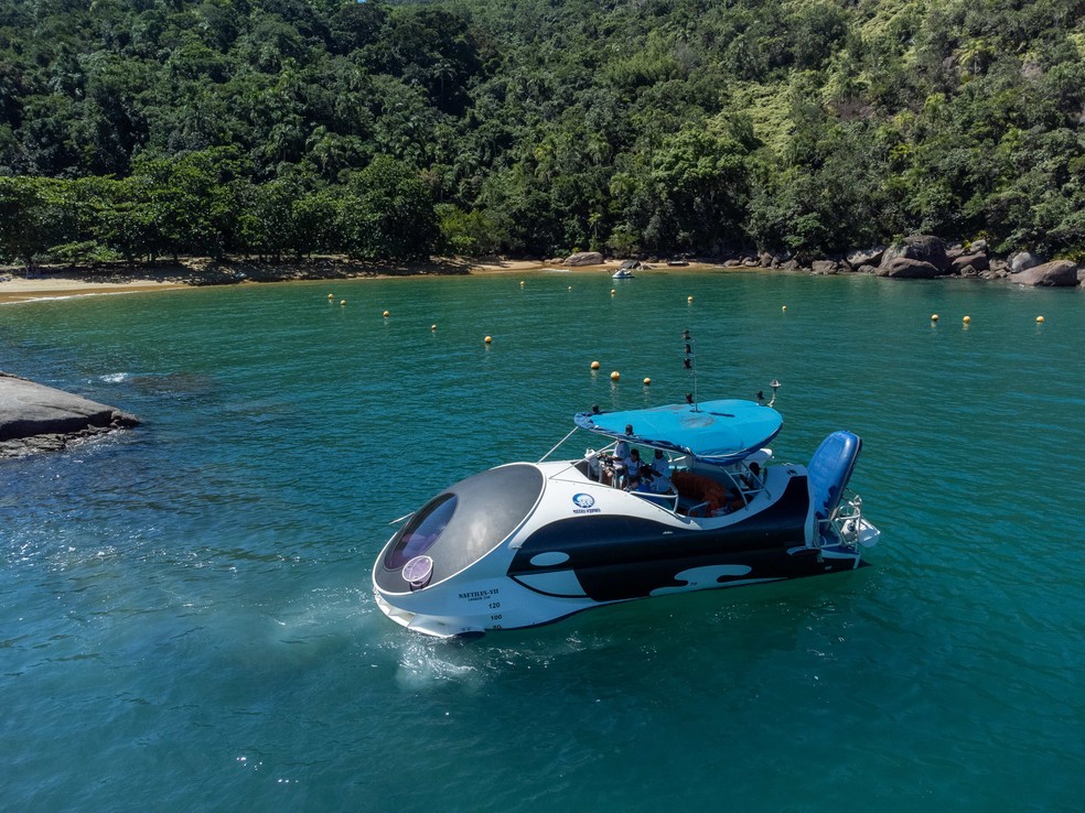 Passeio de hidronave com visão subaquática explora ecossistema marinho no Litoral Norte de SP — Foto: Divulgação/Instituto Argonauta