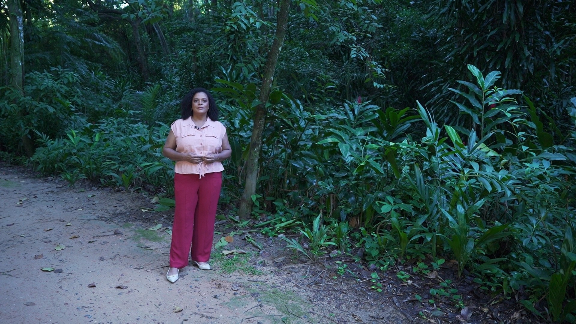 Vídeos do g1 e TV Bahia - domingo, 14 de junho de 2026