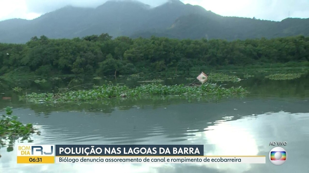 Poluição Aumenta No Sistema Lagunar De Jacarepaguá E Biólogo Alerta 