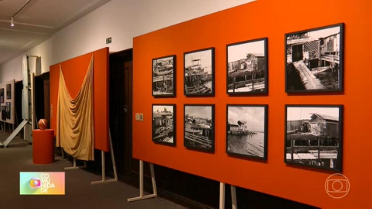 Exposição no Centro Cultura banco do Brasil mostra a importância e riqueza dos manguezais