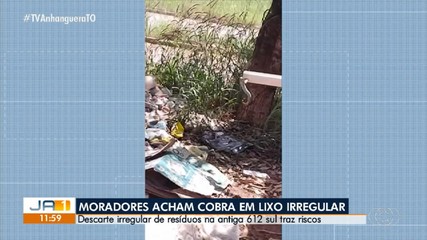 Moradores encontram cobra em área de descarte irregular