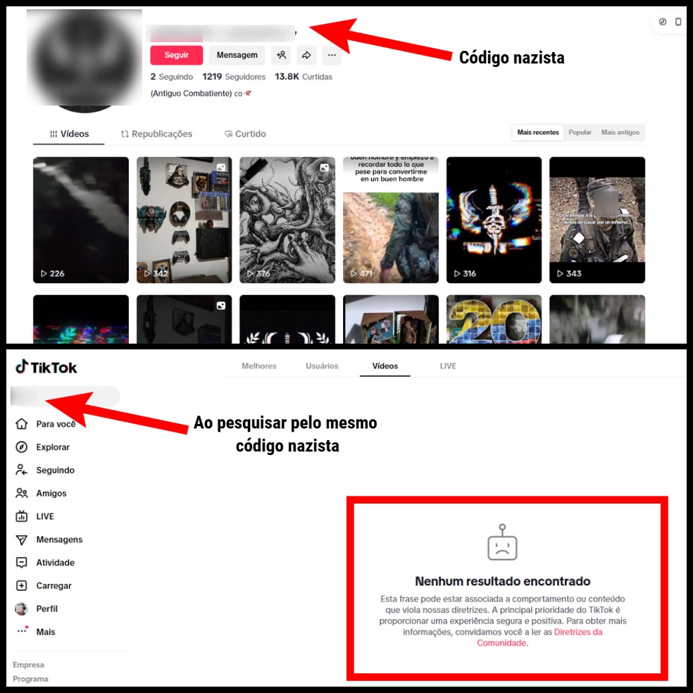 No Tiktok, um mesmo termo associado ao nazismo é bloqueado nos resultados de busca, mas é mantido na descrição de um perfil — Foto: Reprodução/TikTok