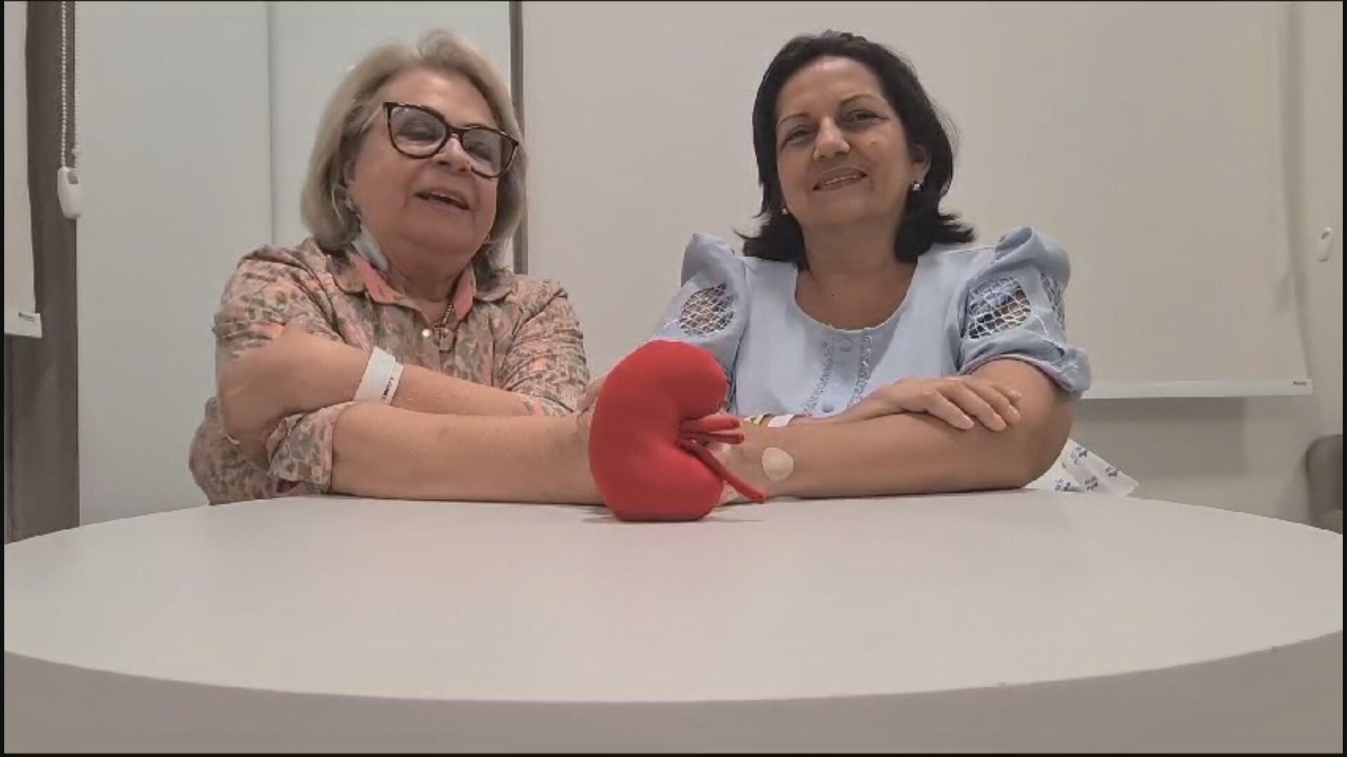 Mulher homenageada em voo ao viajar do Ceará a SP para doar rim à cunhada comemora sucesso de transplante