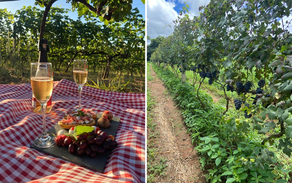 Calliandra Gastronomia, em Cocalzinho de Goi�s � Foto: Divulga��o/Calliandra Gastronomia