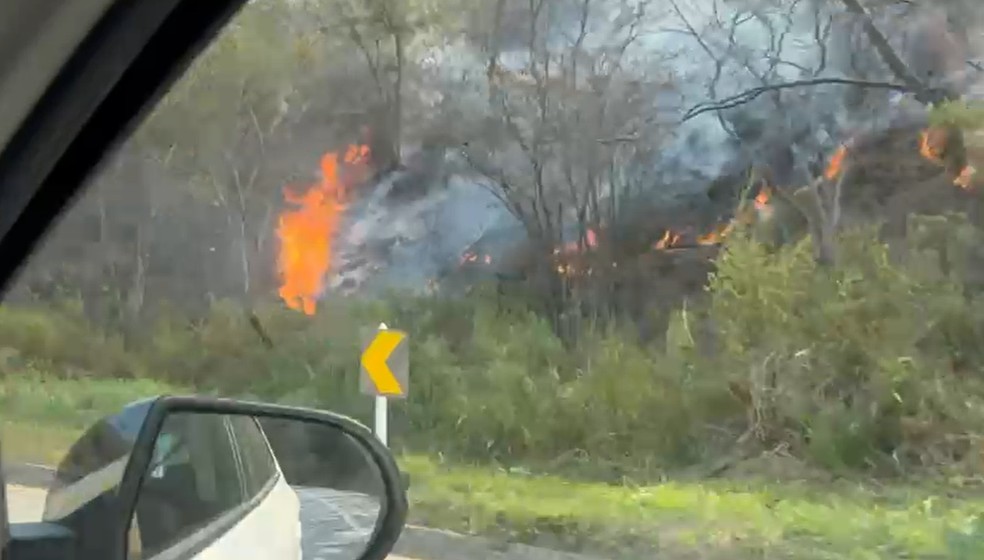 Incêndio às margens da BR-040, na altura de Pedro do Rio — Foto: Rhayssa Motta/g1