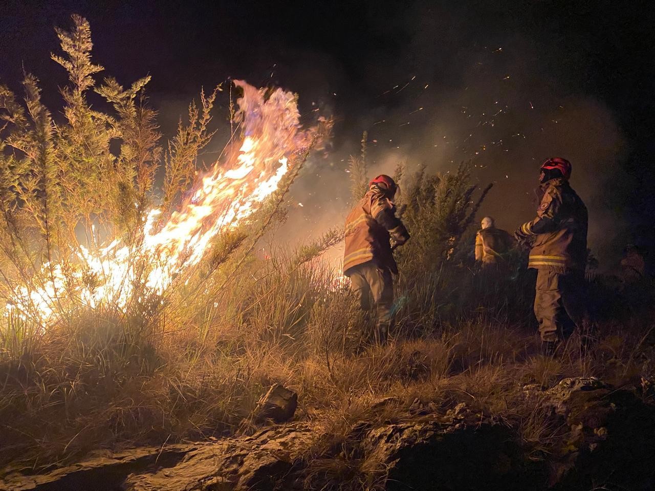 Fogareiro utilizado por cadetes da Aman causou incêndio que destruiu mais de 300 hectares do Parque Nacional do Itatiaia, diz ICMBio 