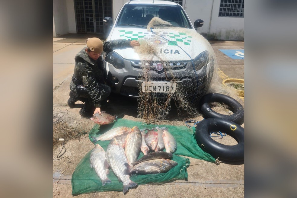 Dupla é flagrada com 32 kg de peixes e recebe R$ 3,2 mil em multas no interior de SP