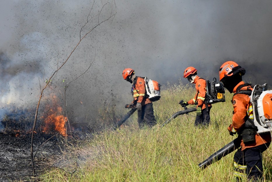 O que é a turfa do Pantanal e por que ela torna o combate ao fogo ainda mais difícil