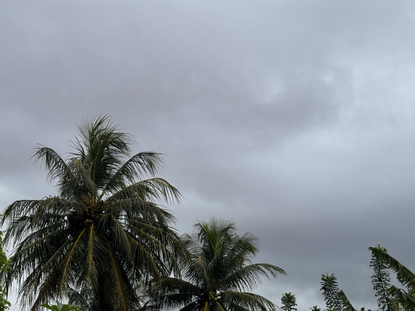 Chuva causa alagamentos em ruas e avenidas de Natal nesta sexta-feira (20); veja pontos 