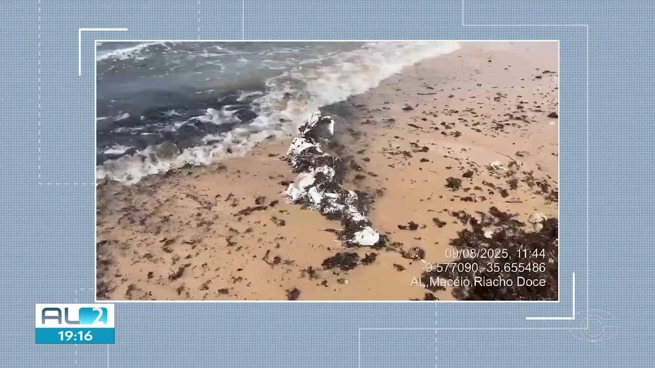 Sacos plásticos utilizados para conter avanço do mar aparecem na faixa de areia da Praia de Riacho Doce, em Maceió 