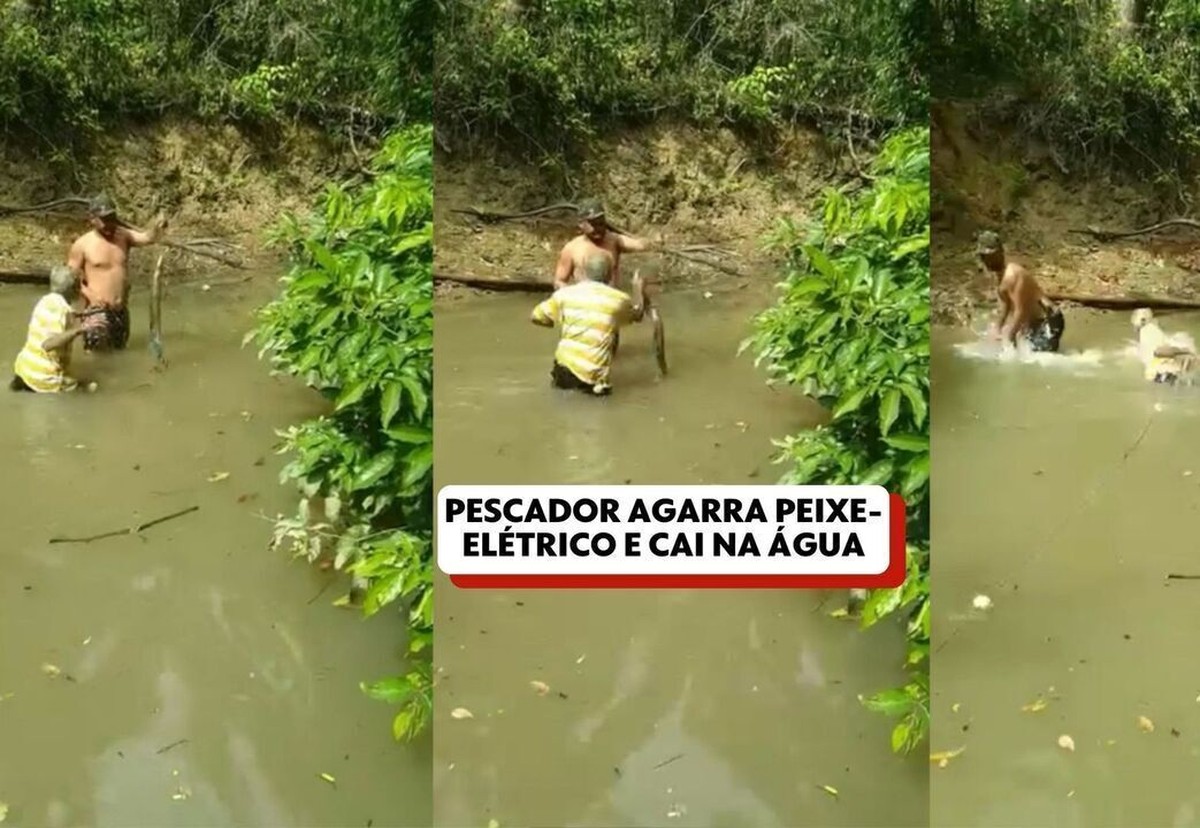 Pescador segura peixe-elétrico com a mão, leva choque, fica paralisado e é  salvo por amigo