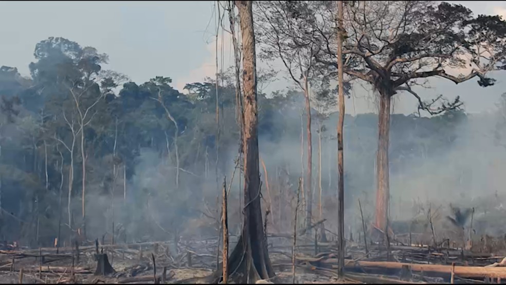 Queimada na Resex Chico Mendes em 2022 — Foto: Arquivo/SOS Amazônia