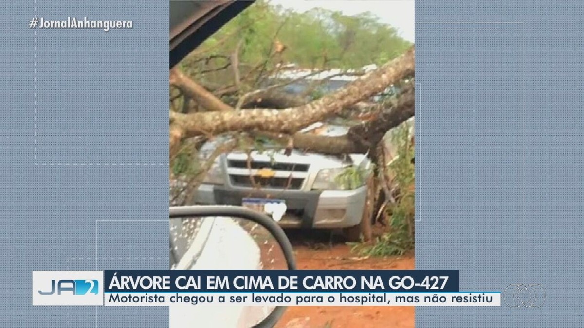 Diário de Um Banana: Caindo na Estrada, Spot Oficial 2