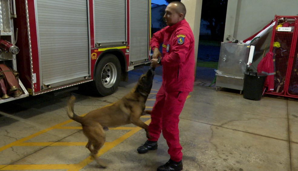 Oss e o sargento Rafael Vaz do Corpo de Bombeiros de Cianorte. — Foto: Reprodução/RPC