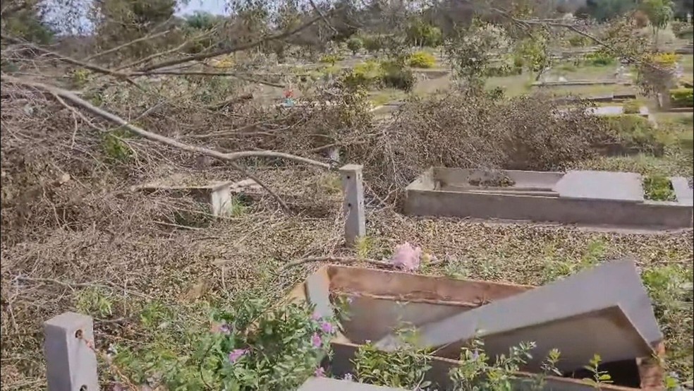 Túmulos quebrados após queda de árvore no Cemitério Campo da Esperança, no DF. — Foto: TV Globo/Reprodução