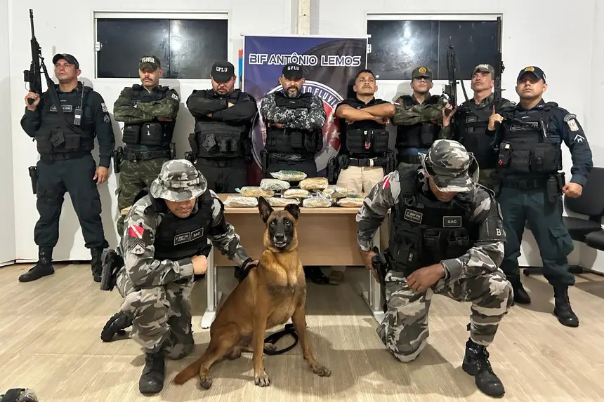 Cão farejador ajuda a encontrar mais de 11 kg de drogas escondidas em embarcação no Marajó