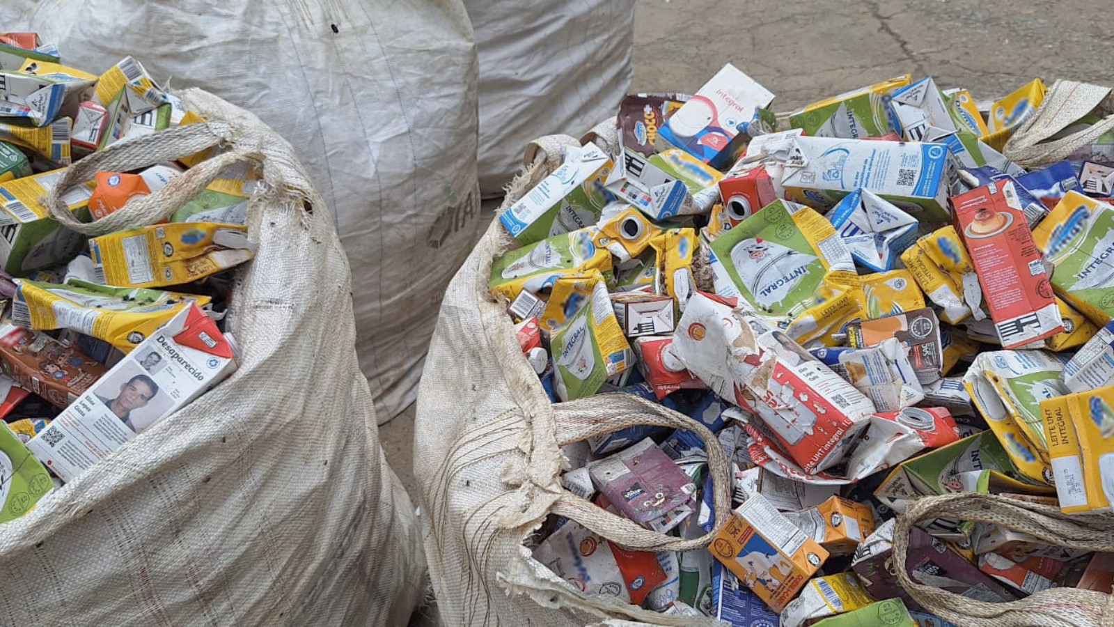 Em redes apoiadas pela Tetra Pak, cooperativas de catadores aceleram reciclagem