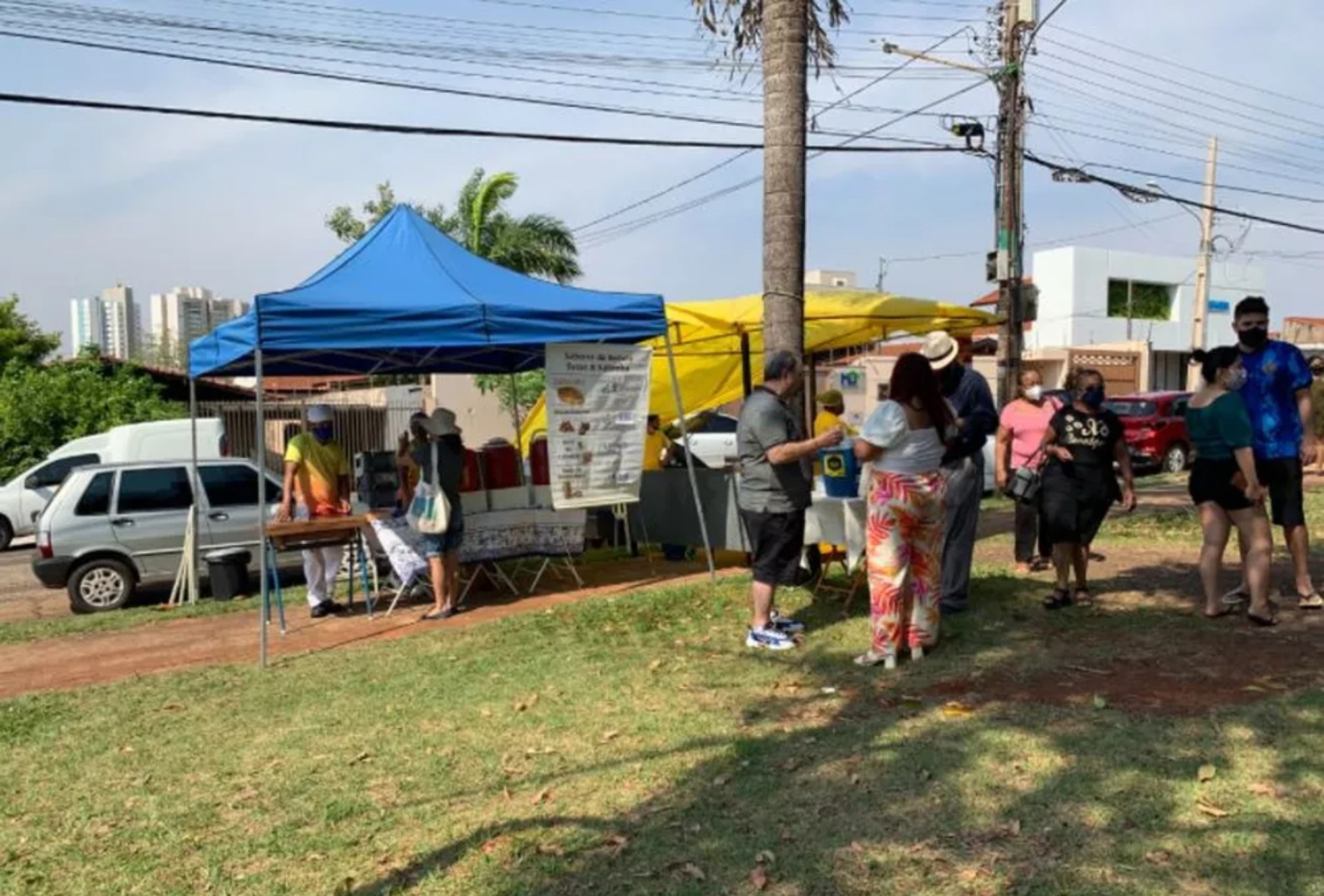 Cães resgatados de maus-tratos esperam por um novo lar em ação de adoção neste domingo