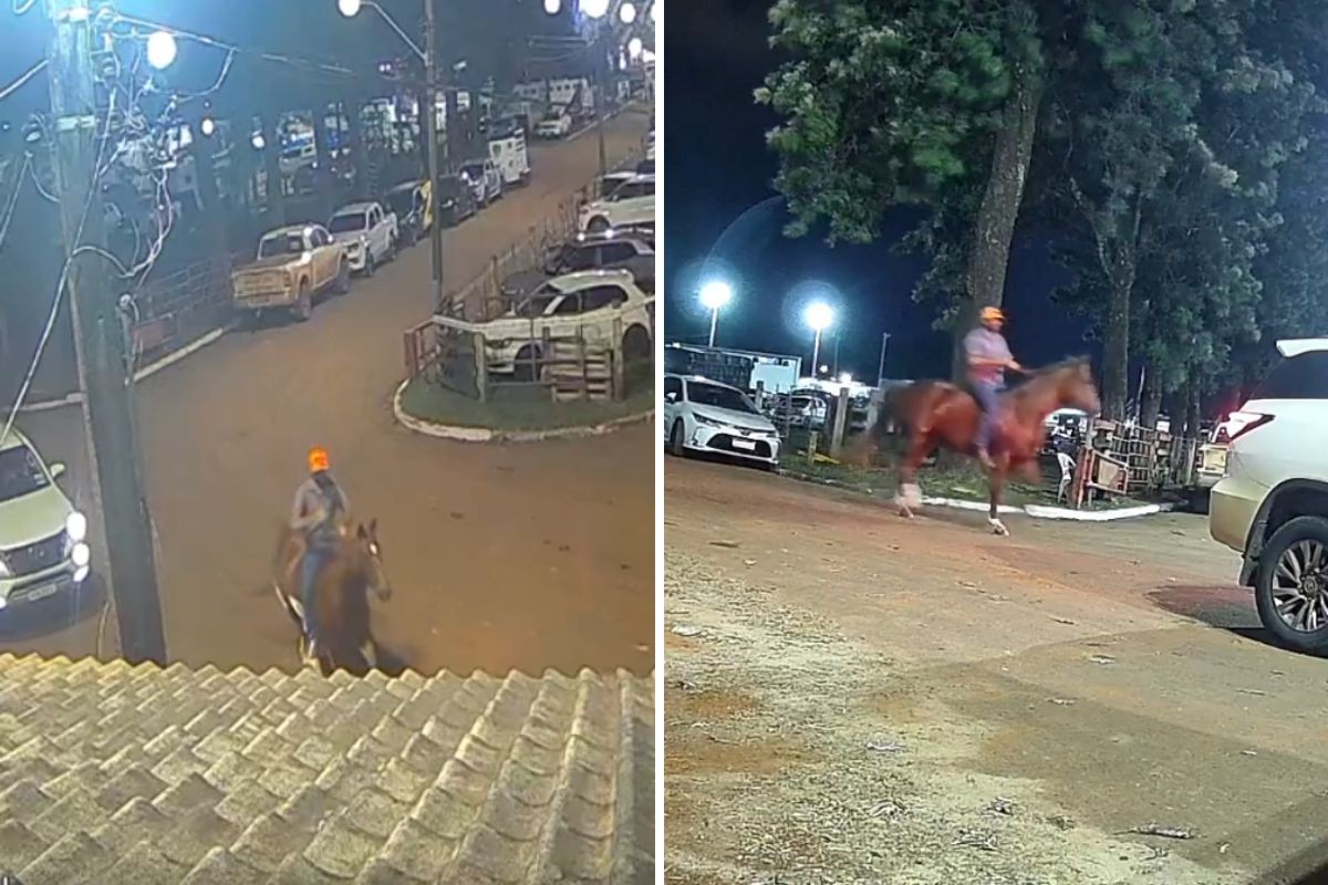 VÍDEO: Égua da raça quarto de milha é furtada durante Expoingá; polícia investiga o caso