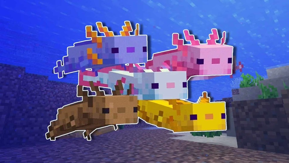 Modelos de axolotes produzidos por jogos online — Foto: Reprodução