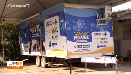 Saiba como está sendo realizado o atendimento no castramóvel em Taquaruçu