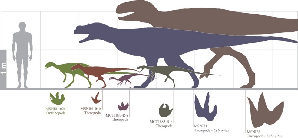 Comparação do tamanho dos dinossauros do Mato Grosso do Sul, calculado a partir das pegadas — Foto: Rafael Costa da Silva/Reprodução