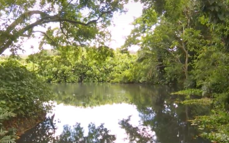 Você Não Tá Convidada pro Meu Bat Mitzvá!