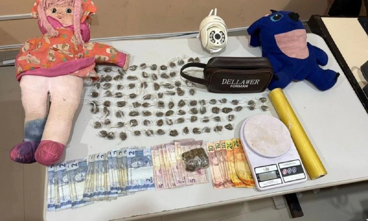 Polícia encontra quase 100 porções de drogas escondidas em bonecos de pelúcia no RN
