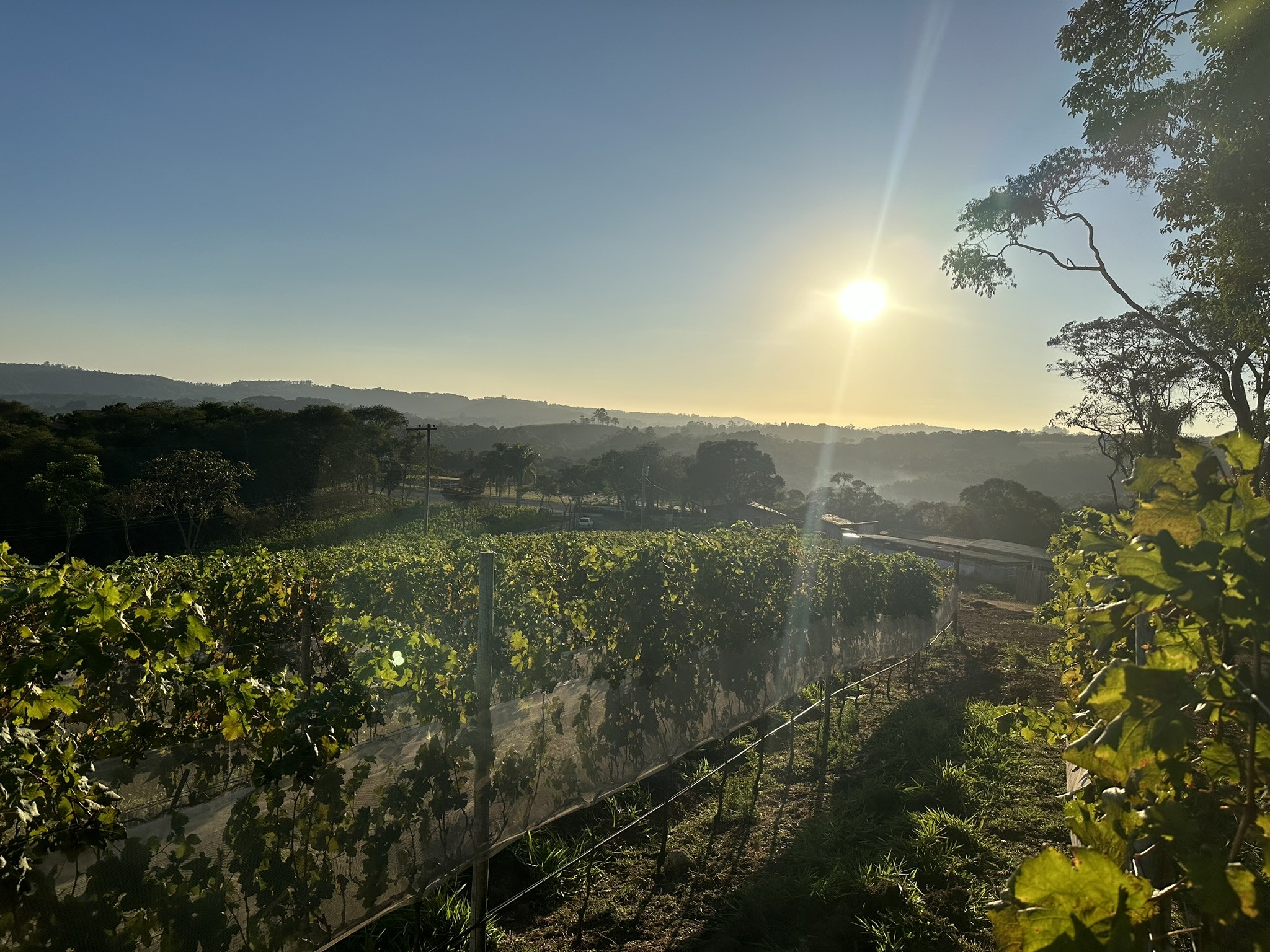 Visite a tradição e o sabor espanhol a 40 minutos de São Paulo no Vinhos Alma Galiza 