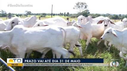 Criadores de animais têm até o dia 31 de maio para declarar rebanho à Adapec