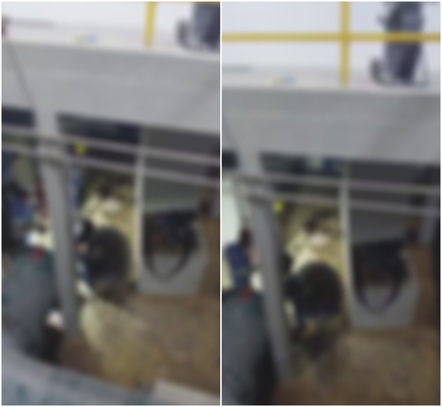 Vídeo mostra égua sendo localizada em adutora de BH; abastecimento de água deve ser retomado ainda nesta quarta
