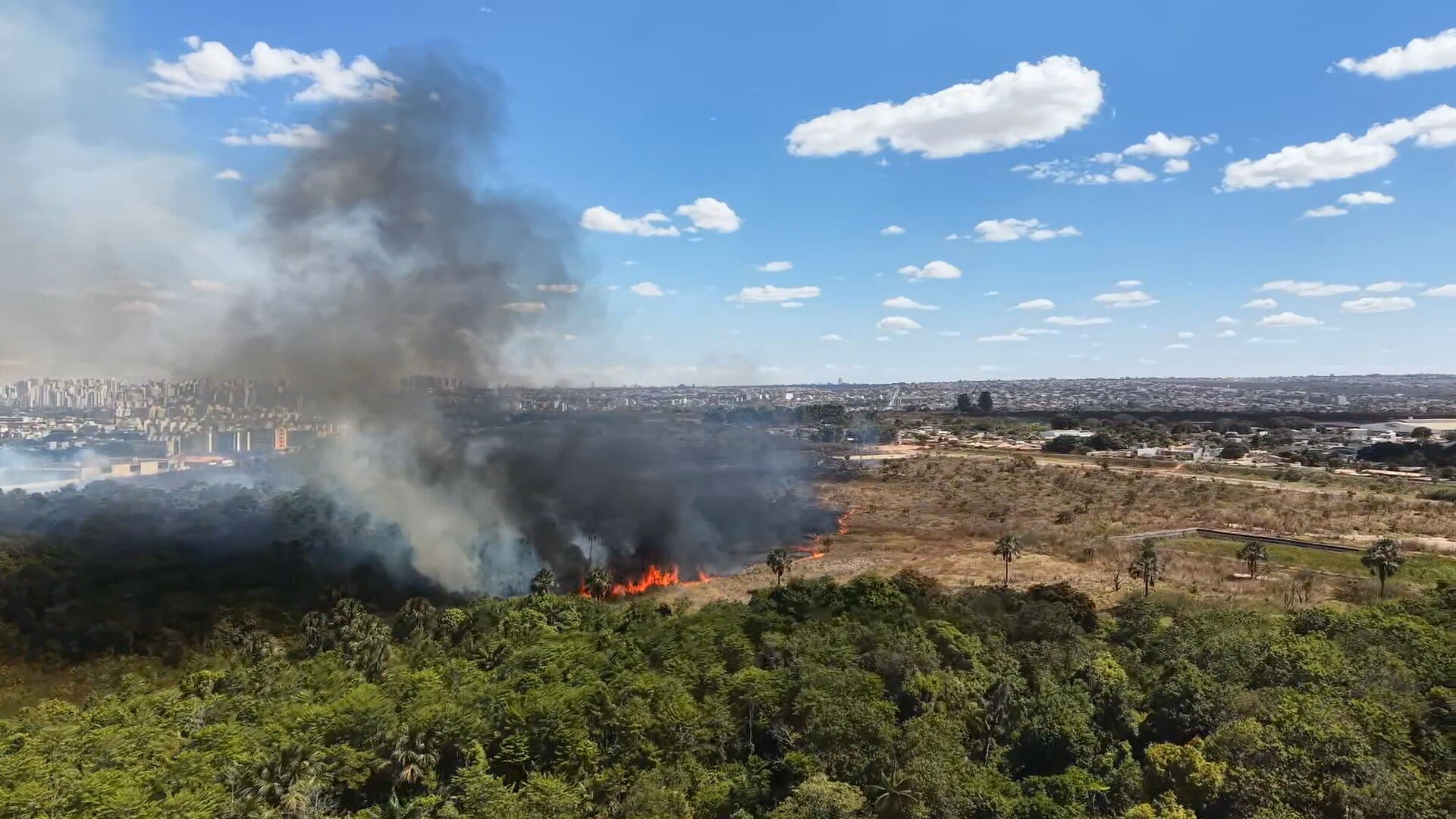 Crianças são retiradas de creche no DF às pressas por causa de incêndio em vegetação