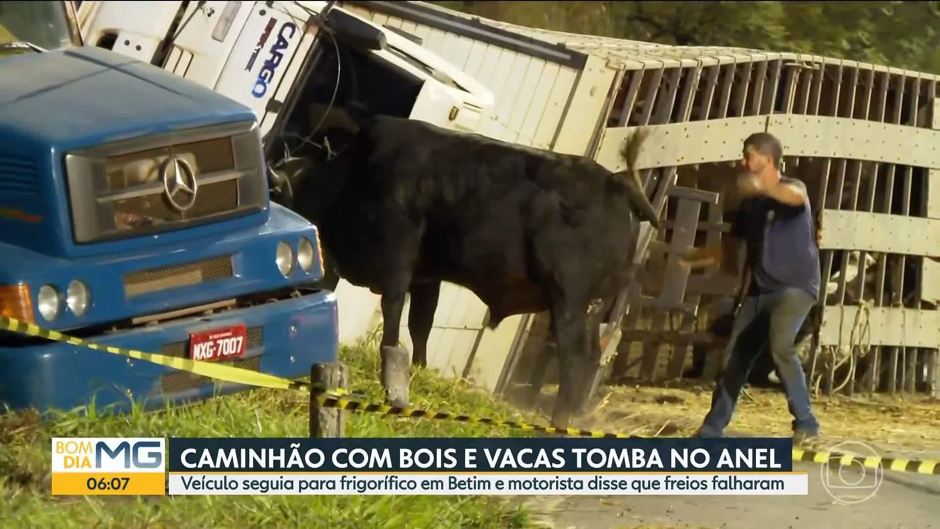 VÍDEOS: Bom Dia Minas de quinta-feira, 10 de julho de 2025