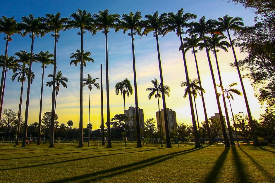 Tardes com sol, mas manhãs e noites geladas: saiba como fica o tempo no Vale e região durante o feriado