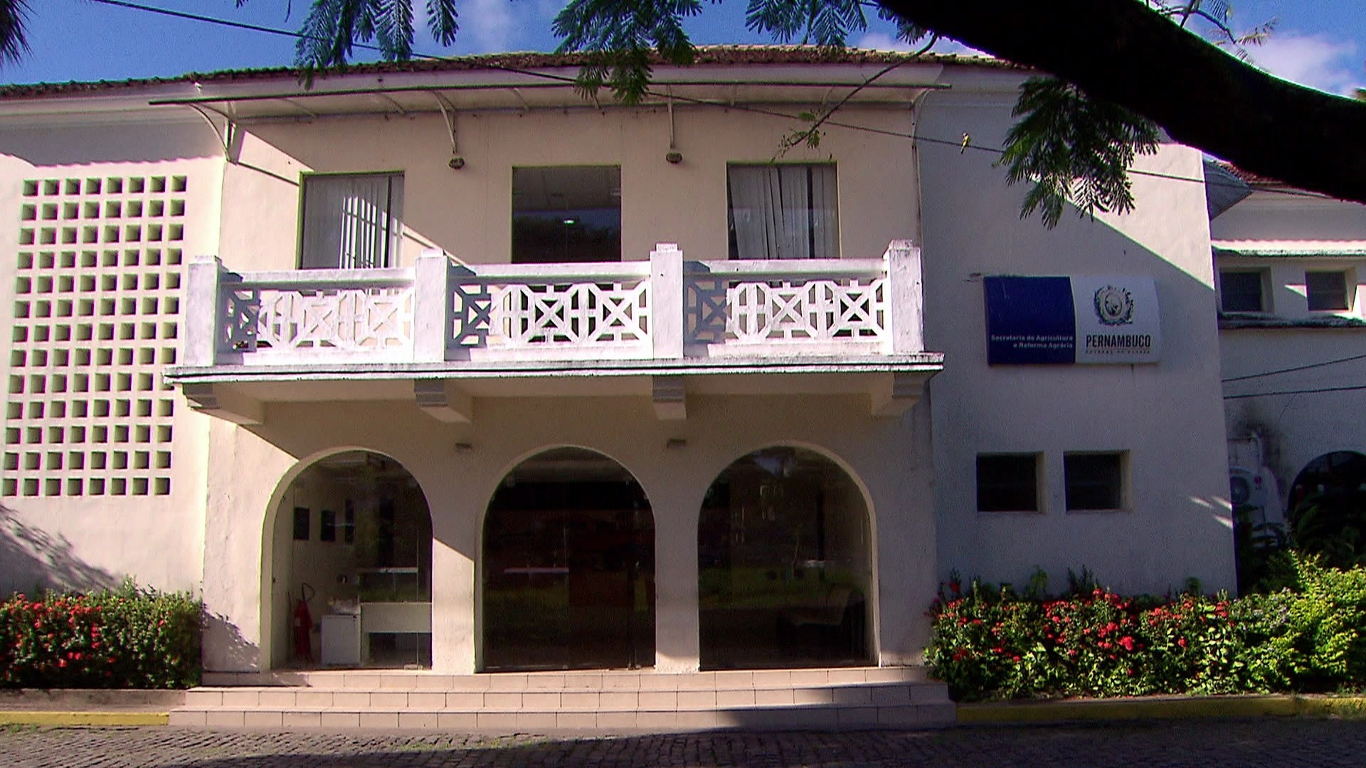 Servidores flagram homem com faca tentando roubar fios e peças de computador da Adagro e criminoso é preso 