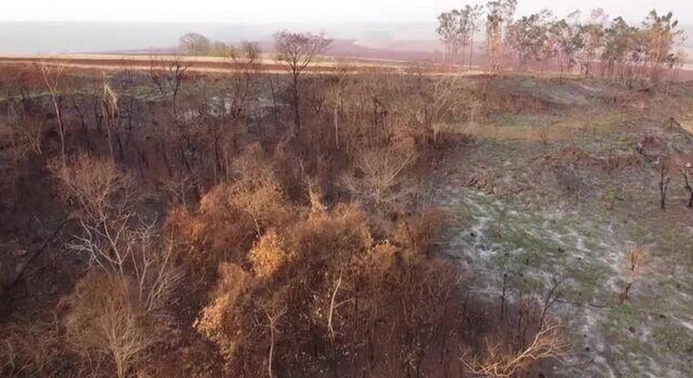 Governo do Paraná emite cartilha proibindo queima controlada por 90 dias — Foto: RPC/Caminhos do Campo