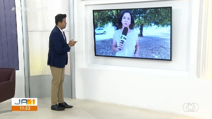 Criança morre após sofrer queimaduras