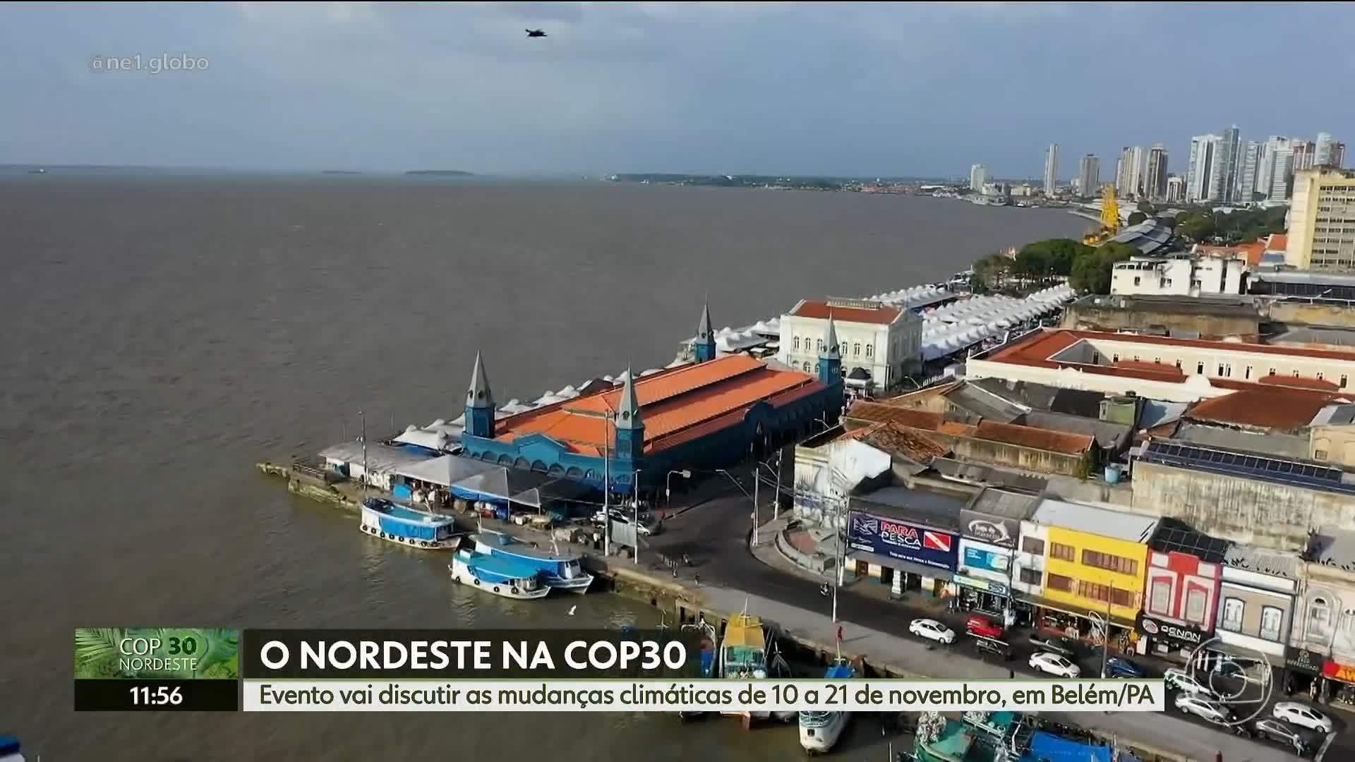 VÍDEOS: NE1 do sábado, 8 de novembro de 2025