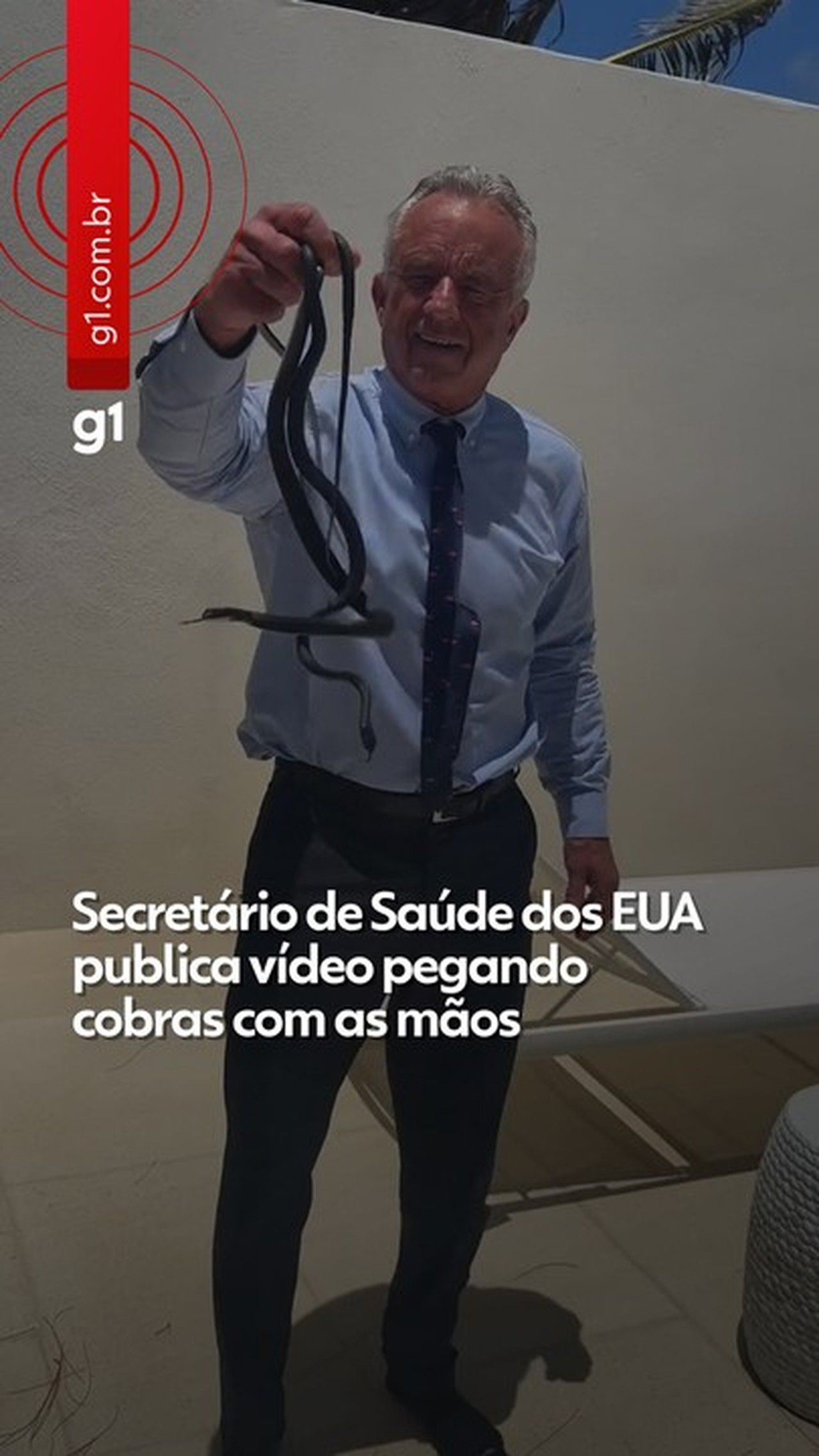 VÍDEO: Robert Kennedy Jr, secretário de Trump, pega cobras com as mãos e é picado