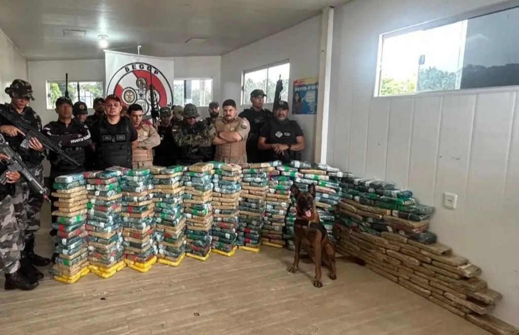Com ajuda de cão Jay-Z, meia tonelada de drogas é apreendida no Marajó 