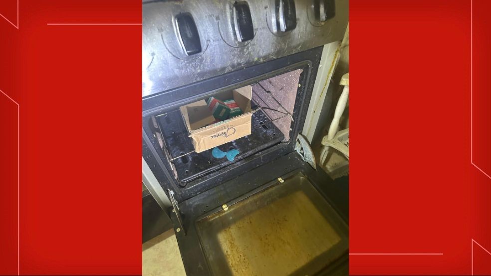 Veterinário é preso suspeito de vender cetamina ilegalmente no DF — Foto: PCDF/Reprodução