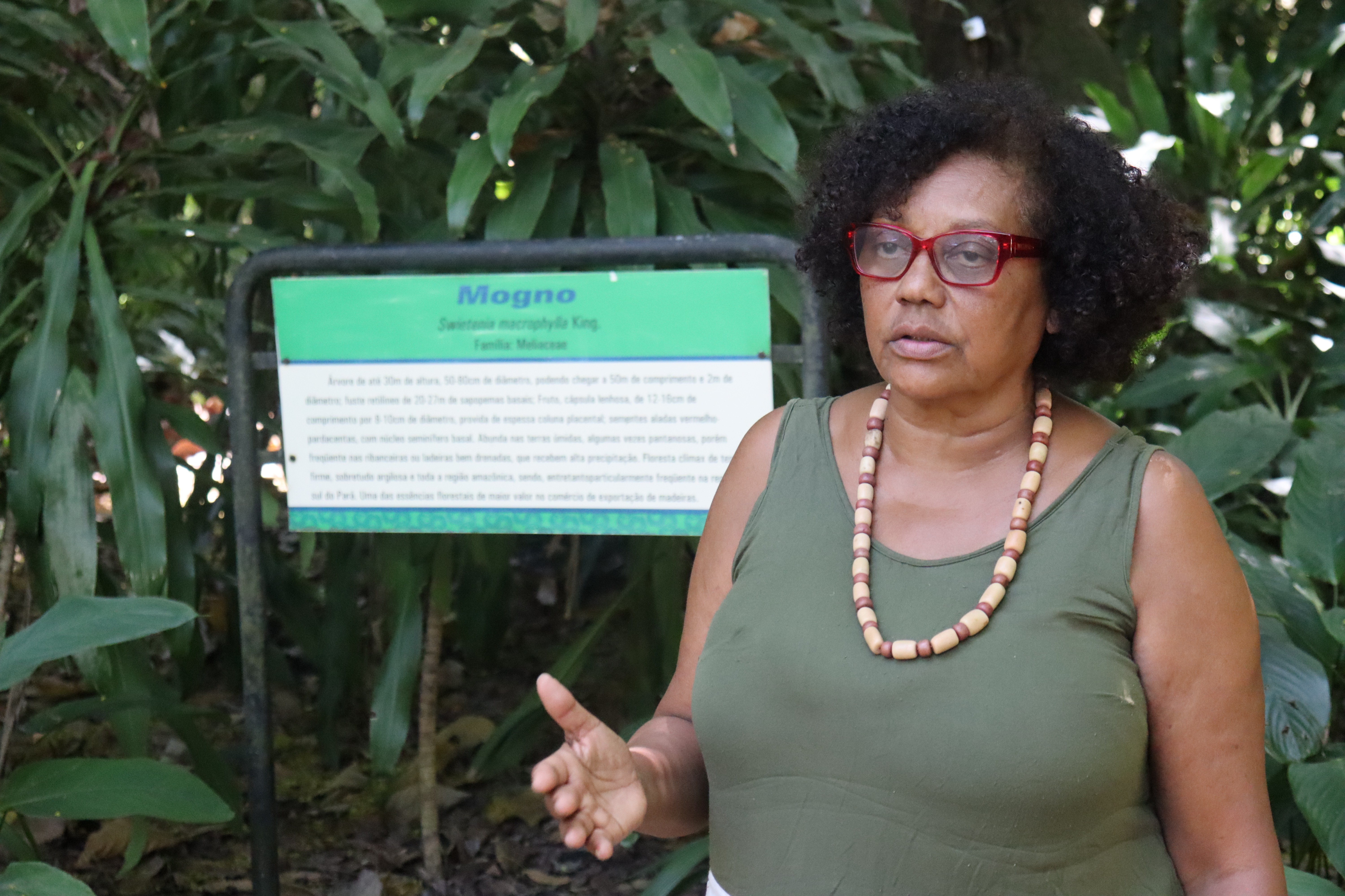 'Fazer ciência na Amazônia é um ato político': conheça Marlúcia Martins, cientista negra que escolheu a floresta como lugar de fala