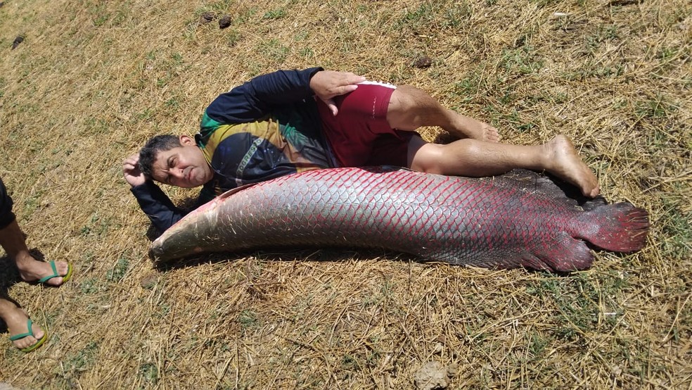 Pescador posa ao lado de peixe capturado no interior do RN — Foto: Reprodução